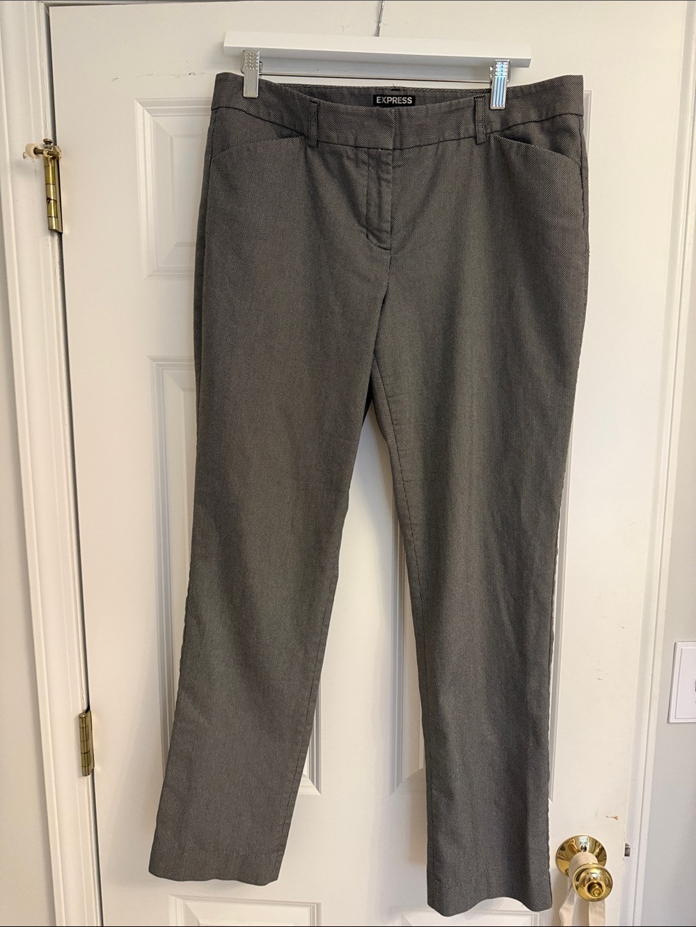 Express Editor Pants - 10 Long